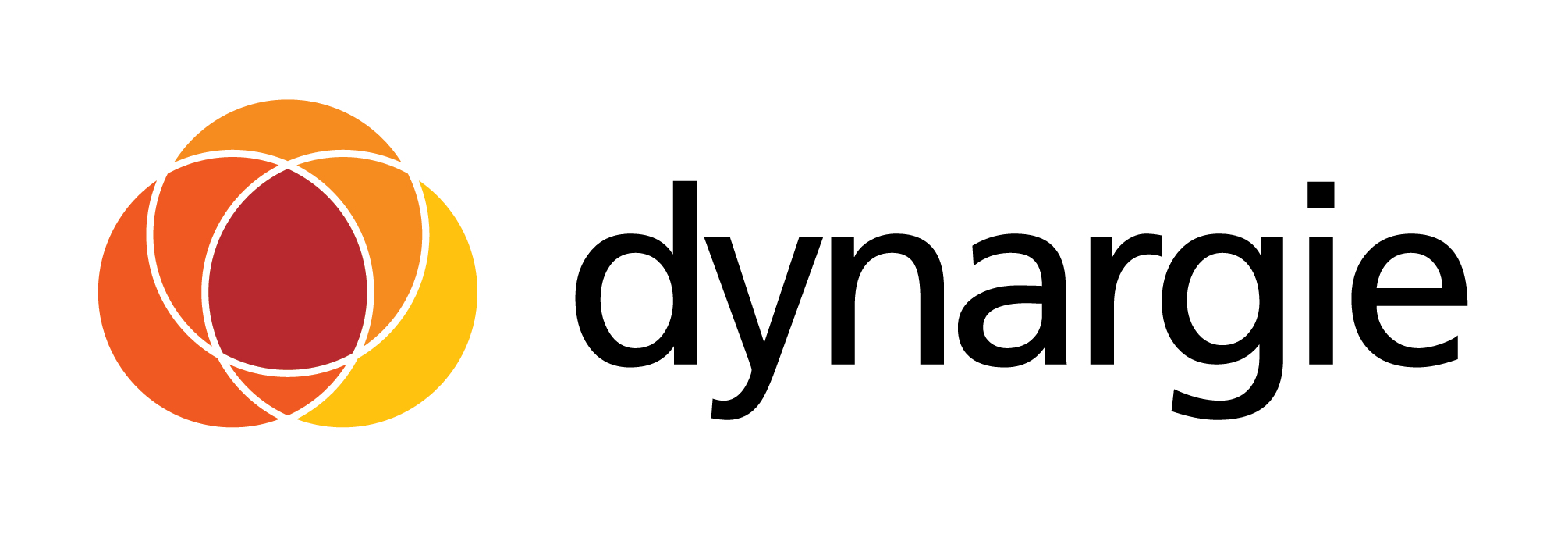 Logo Dynargie
